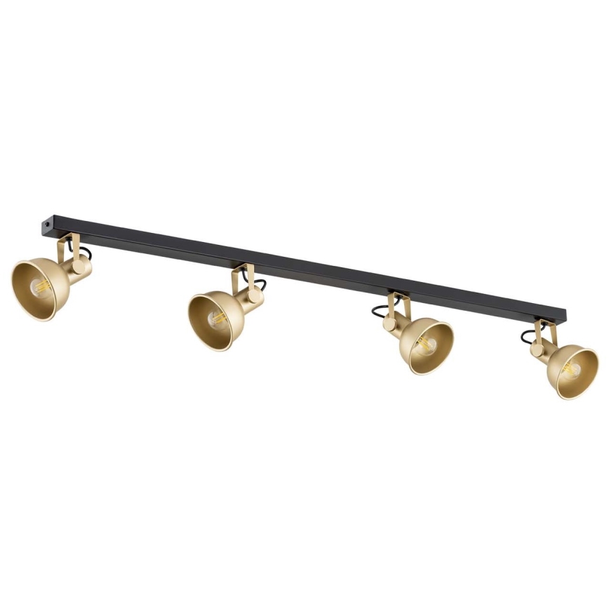 Argon 1801 - Spotlight LENORA 4xE14/7W/230V guld/svart