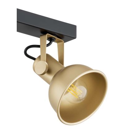 Argon 1801 - Spotlight LENORA 4xE14/7W/230V guld/svart