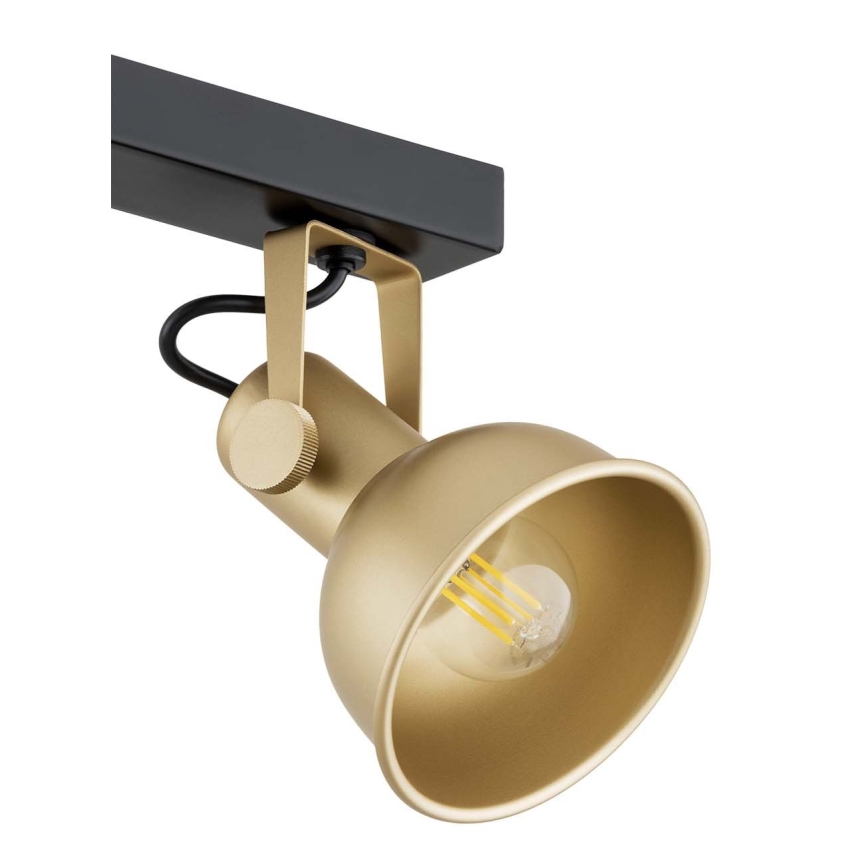 Argon 1801 - Spotlight LENORA 4xE14/7W/230V guld/svart