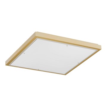 Argon 1816 - Taklampa CARLSON 4xE27/15W/230V 60x60 cm guld