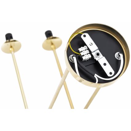 Argon 1840 - Pendelkrona ABSOS 4xE14/7W/230V alabaster guld