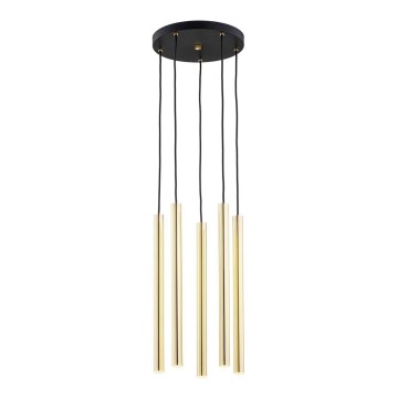 Argon 2109 - LED takkrona på ett snöre  SICILIA 5xLED/4,5W/230V