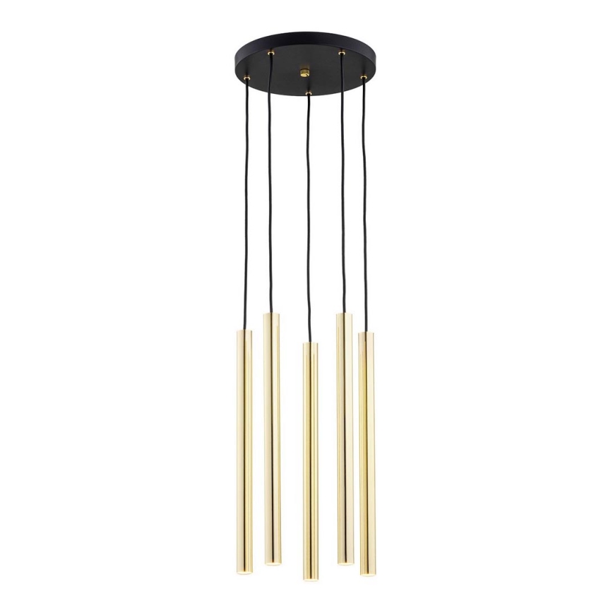 Argon 2109 - LED takkrona på ett snöre  SICILIA 5xLED/4,5W/230V