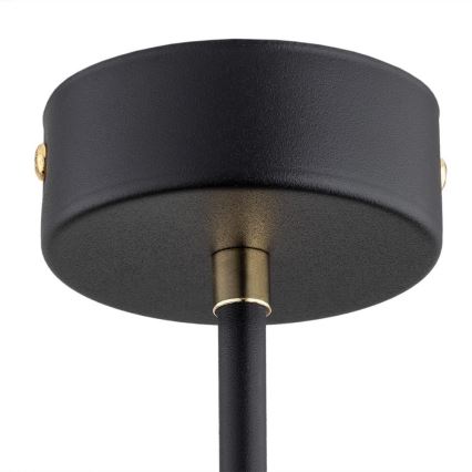 Argon 2128 - Pendelkrona RAVELLO 5xE14/15W/230V svart/guld