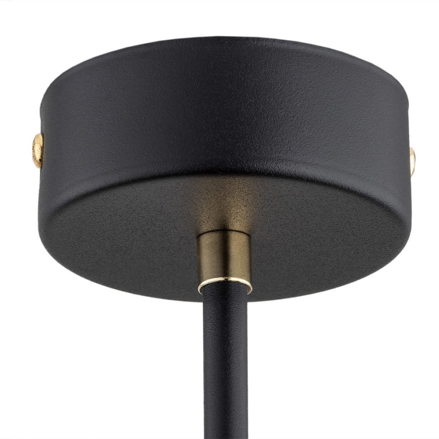 Argon 2128 - Pendelkrona RAVELLO 5xE14/15W/230V svart/guld
