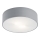 Argon 3080 - Takbelysning DARLING 2xE27/15W/230V
