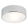 Argon 3083 - Takbelysning DARLING 2xE27/15W/230V