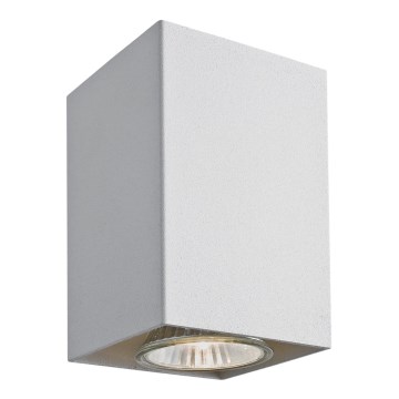 Argon 3088 - Spotlight TYBER 3 1xGU10/50W/230V
