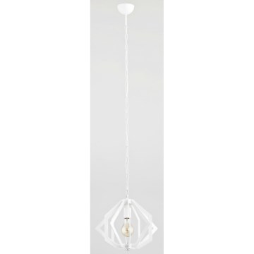 Argon 3516 - Hängande lampa TRIEST 1xE27/60W