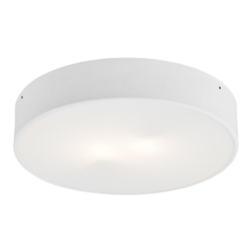 Argon 3567  - LED Takbelysning DARLING LED/25W/230V