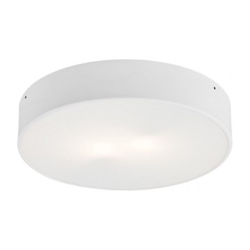 Argon 3568  - LED Takbelysning DARLING LED/35W/230V