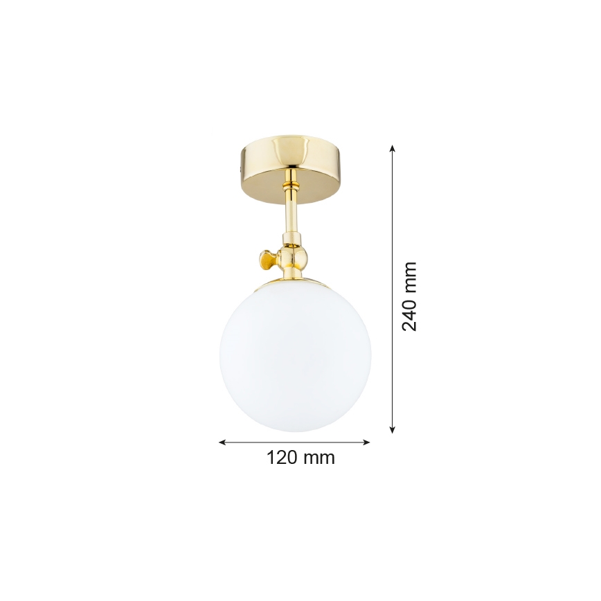 Argon 4001 - Badrum Ljuskrona LATINA 1xE14/40W/230V IP44