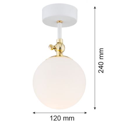 Argon 4002 - Badrum fäst ljuskrona LATINA 1xE14/7W/230V IP44 vit/gyllene