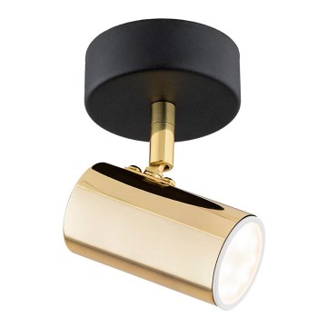 Argon 4208 - Takpotlight LAGOS 1xGU10/5W/230V mässing/svart
