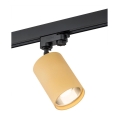 Argon 4304 - Spotbelysning för skensystem BERGEN 1xE27/15W/230V guld