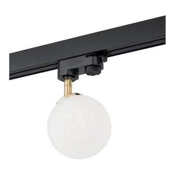 Argon 4307 - Spotlight för skensystem BANG 1xG9/6W/230V mässing