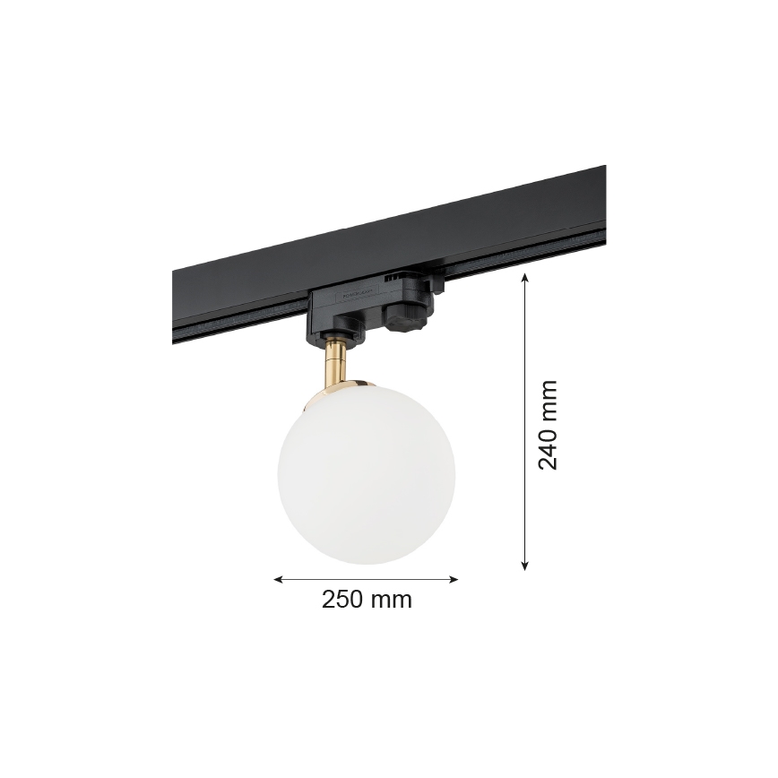 Argon 4307 - Spotlight för skensystem BANG 1xG9/6W/230V mässing
