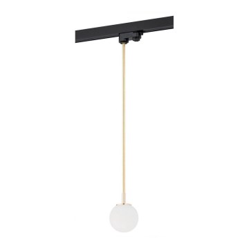 Argon 4308 - Ljuskrona med pelare för skensystem BANG 1xG9/6W/230V mässing
