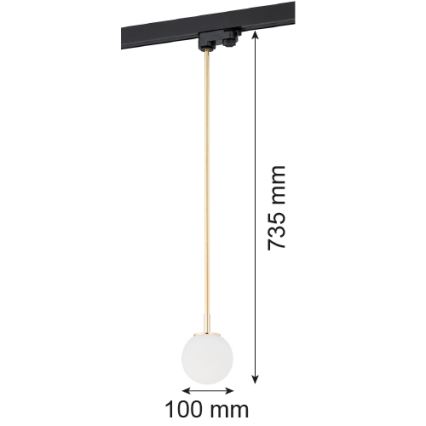 Argon 4308 - Ljuskrona med pelare för skensystem BANG 1xG9/6W/230V mässing