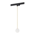 Argon 4308 - Taklampa för BANG-skena 1xG9/6W/230V mässing
