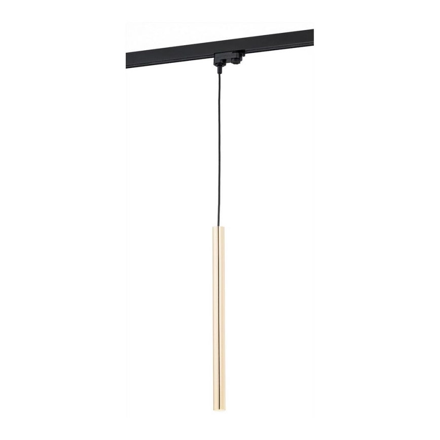 Argon 4319 - LED Ljuskrona med snöre för skensystem ELBRUS LED/4,5W/230V mässing