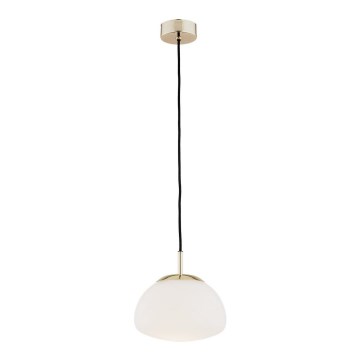 Argon 4352 - Ljuskrona med upphängningsrem TRINI 1xE27/15W/230V gyllene