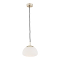 Argon 4352 - Taklampa TRINI 1xE27/15W/230V Ø 20 cm guld