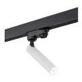 Argon 4353 - LED Spotlight för skensystem ELBRUS LED/4,5W/230V vit