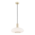 Argon 4358 - Ljuskrona med upphängningsrem SAGUNTO 1xE27/15W/230V diameter 30 cm mässing