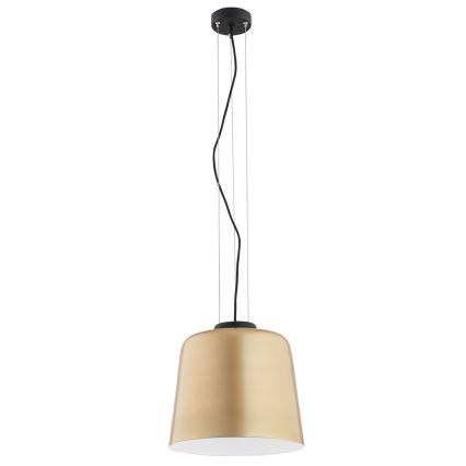 Argon 4690 - Takkkrona på ett snöre  BERKLEY 1xE27/15W/230V