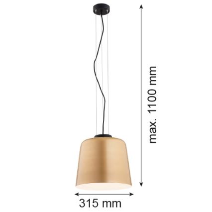 Argon 4690 - Takkkrona på ett snöre  BERKLEY 1xE27/15W/230V