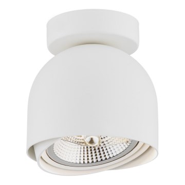 Argon 4710 - Spotlight  GARLAND 1xGU10-AR111/12W/230V vit