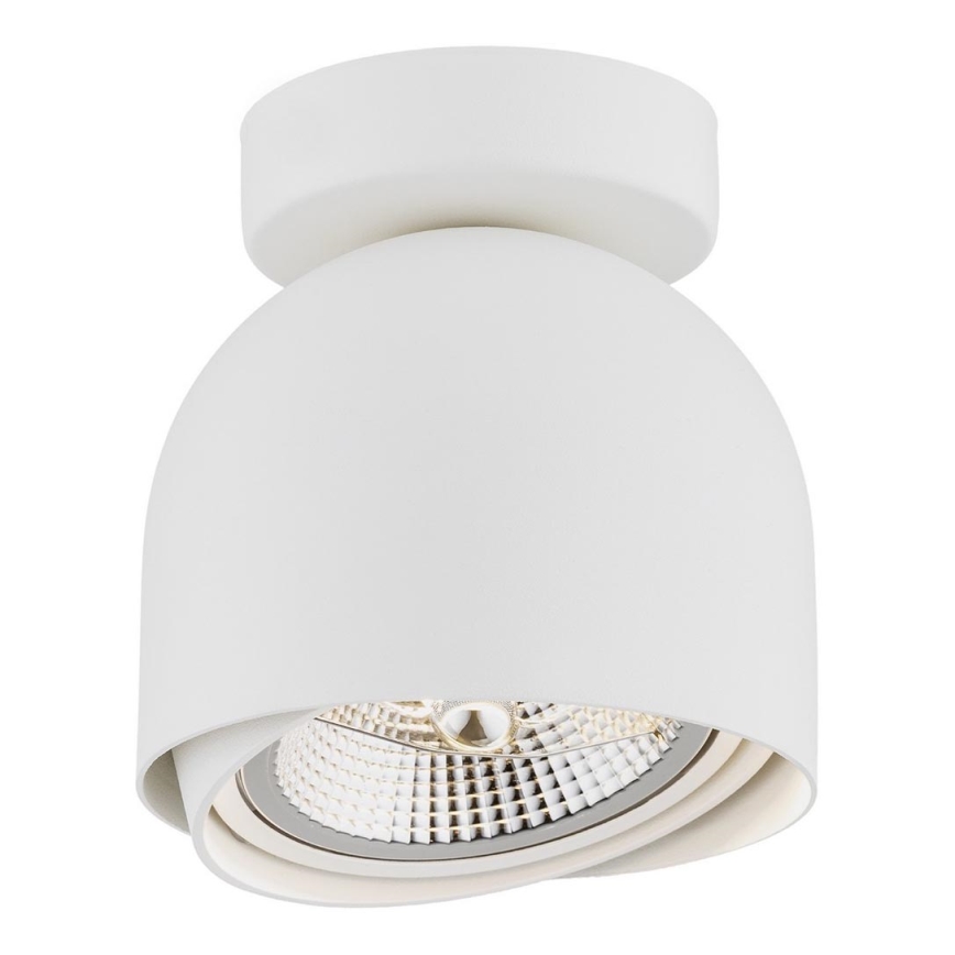 Argon 4710 - Spotlight  GARLAND 1xGU10-AR111/12W/230V vit