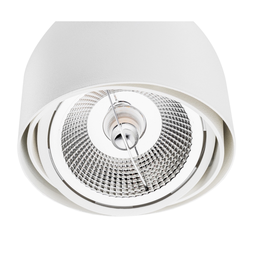 Argon 4710 - Spotlight  GARLAND 1xGU10-AR111/12W/230V vit