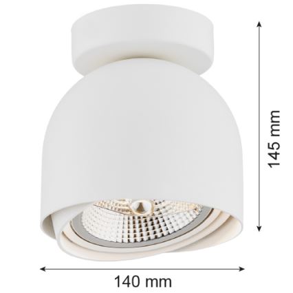 Argon 4710 - Spotlight  GARLAND 1xGU10-AR111/12W/230V vit