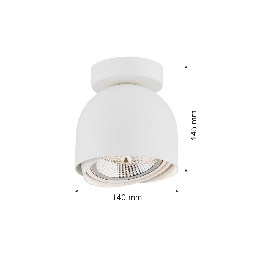Argon 4710 - Spotlight  GARLAND 1xGU10-AR111/12W/230V vit