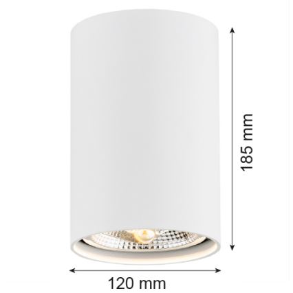 Argon 4910 - Spotlight TUBO AR111 1xGU10/15W/230V vit