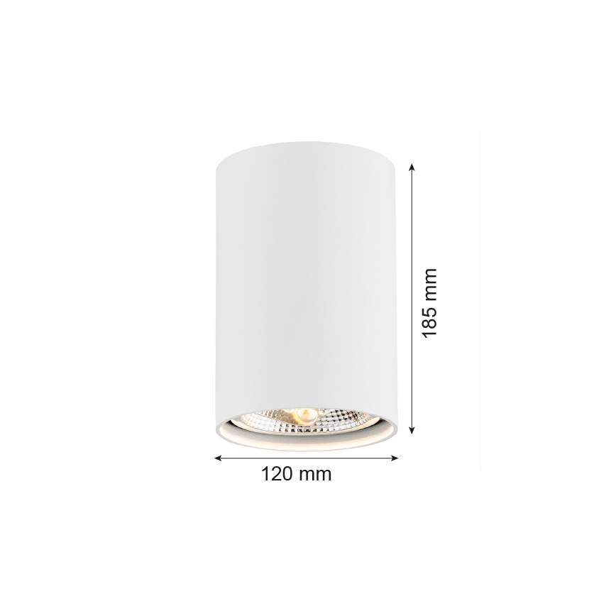 Argon 4910 - Spotlight TUBO AR111 1xGU10/15W/230V vit
