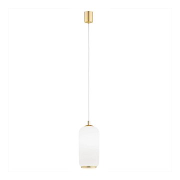 Argon 4993 - Ljuskrona med upphängningsrem PALLADO 1xE27/15W/230V gyllene/vit