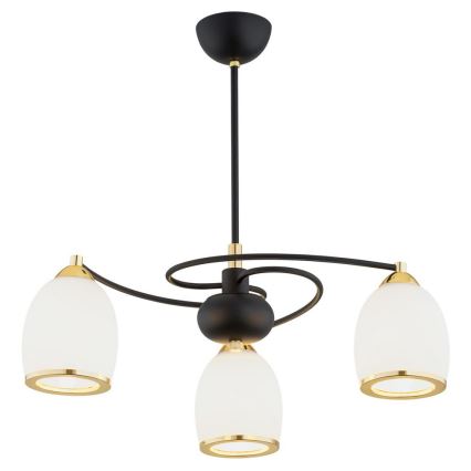 Argon 6144 - Pendelkrona AVILA PLUS 3xE27/15W/230V svart/gyllene/vit