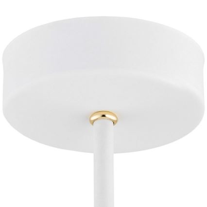 Argon 6148 - Pendelkrona CHARLOTTE 3xE27/15W/230V vit/gyllene