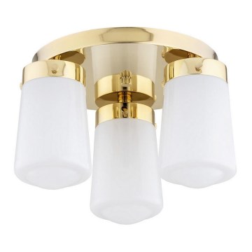 Argon 6165 - Surface-mounted ljuskrona PASADENA 3xE27/15W/230V guld/vit