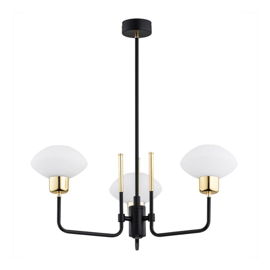 Argon 6166 - Pendelkrona RAVELLO 3xE14/15W/230V svart/guld