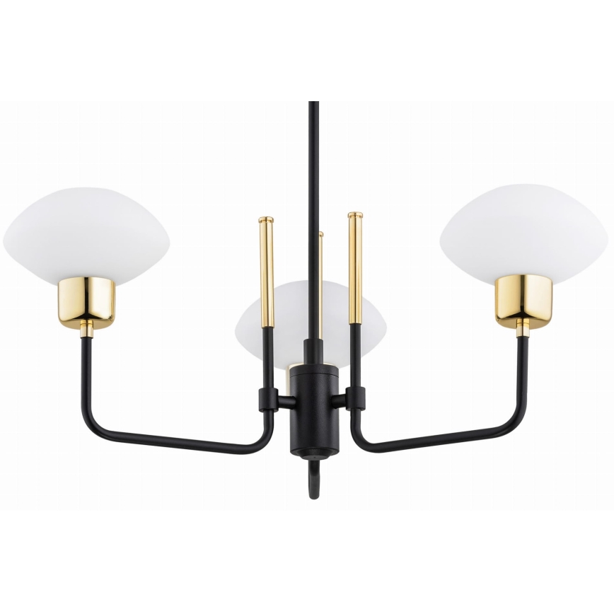 Argon 6166 - Pendelkrona RAVELLO 3xE14/15W/230V svart/guld