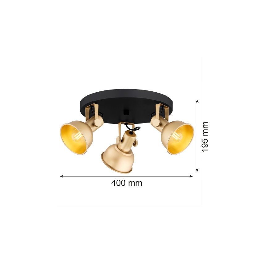 Argon 6243 - Spotlight LENORA 3xE14/7W/230V guld/svart