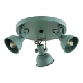Argon 6265 - Spotlight LENORA 3xE14/7W/230V grön