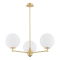 Argon 6307 - Pendelkrona PALOMA 3xE14/7W/230V guld/vit