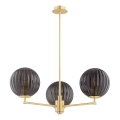 Argon 6310 - Pendelkrona PALOMA 3xE14/7W/230V guld/svart