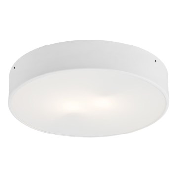 Argon 660 - Takbelysning DARLING 2xE27/60W/230V
