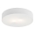 Argon 660 - Takbelysning DARLING 2xE27/60W/230V